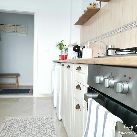 Cozy Apartment Narciselor Suceava Ipotesti  エクステリア 写真