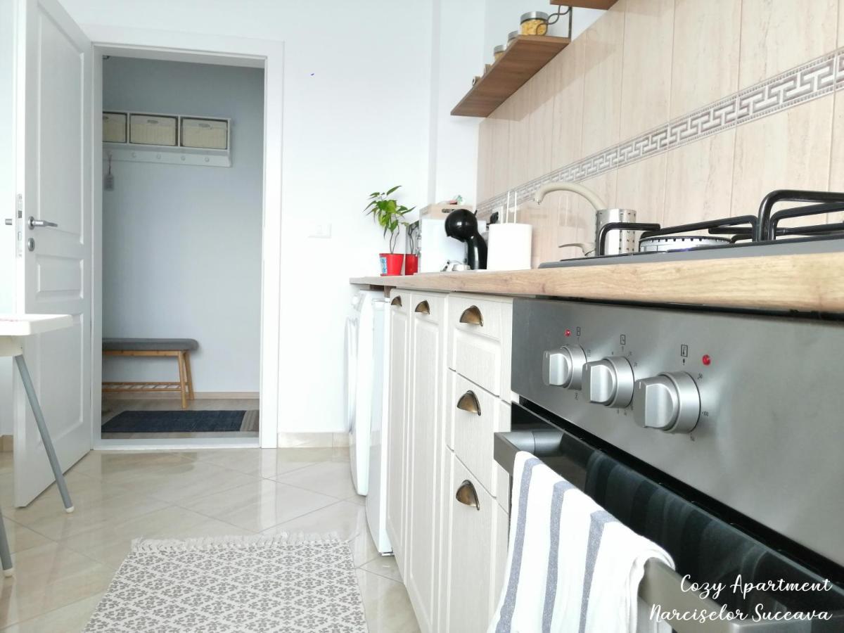 Cozy Apartment Narciselor Suceava Ipotesti  エクステリア 写真