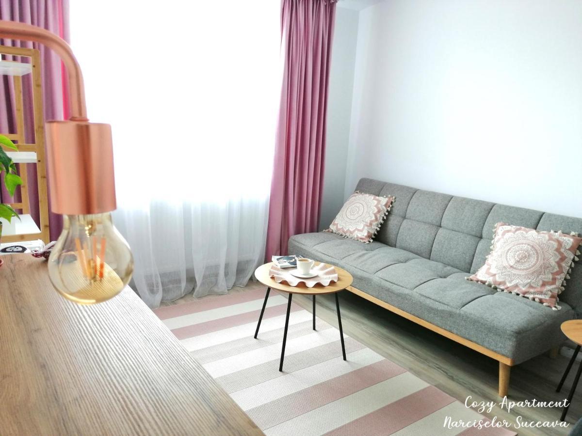 Cozy Apartment Narciselor Suceava Ipotesti  エクステリア 写真