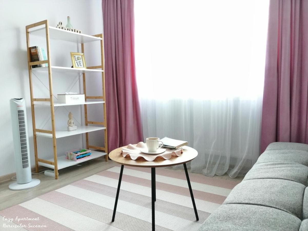 Cozy Apartment Narciselor Suceava Ipotesti  エクステリア 写真
