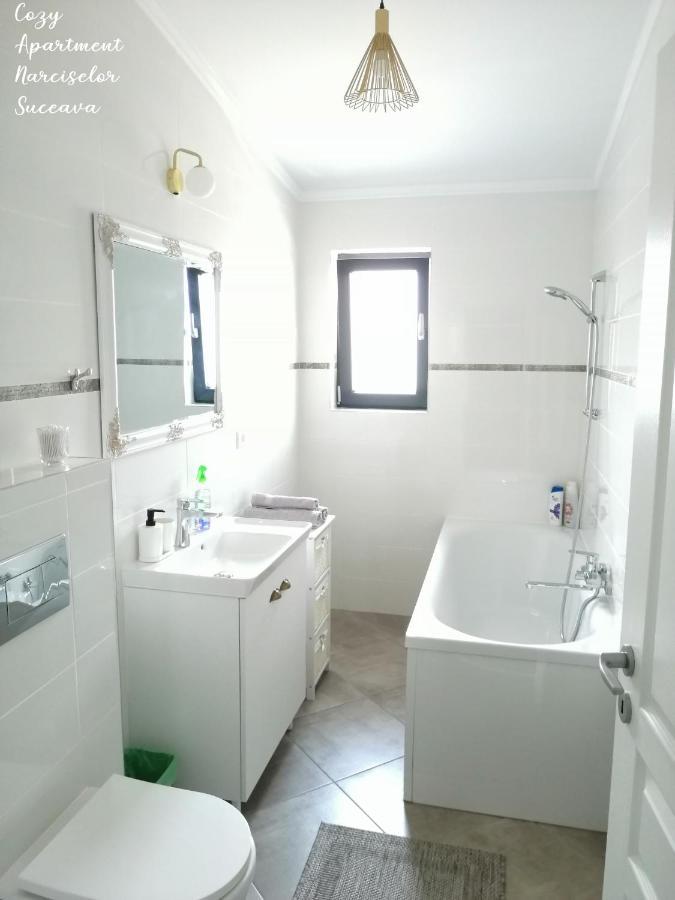 Cozy Apartment Narciselor Suceava Ipotesti  エクステリア 写真