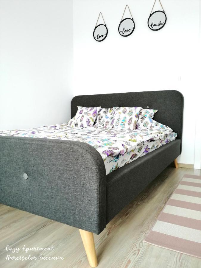 Cozy Apartment Narciselor Suceava Ipotesti  エクステリア 写真