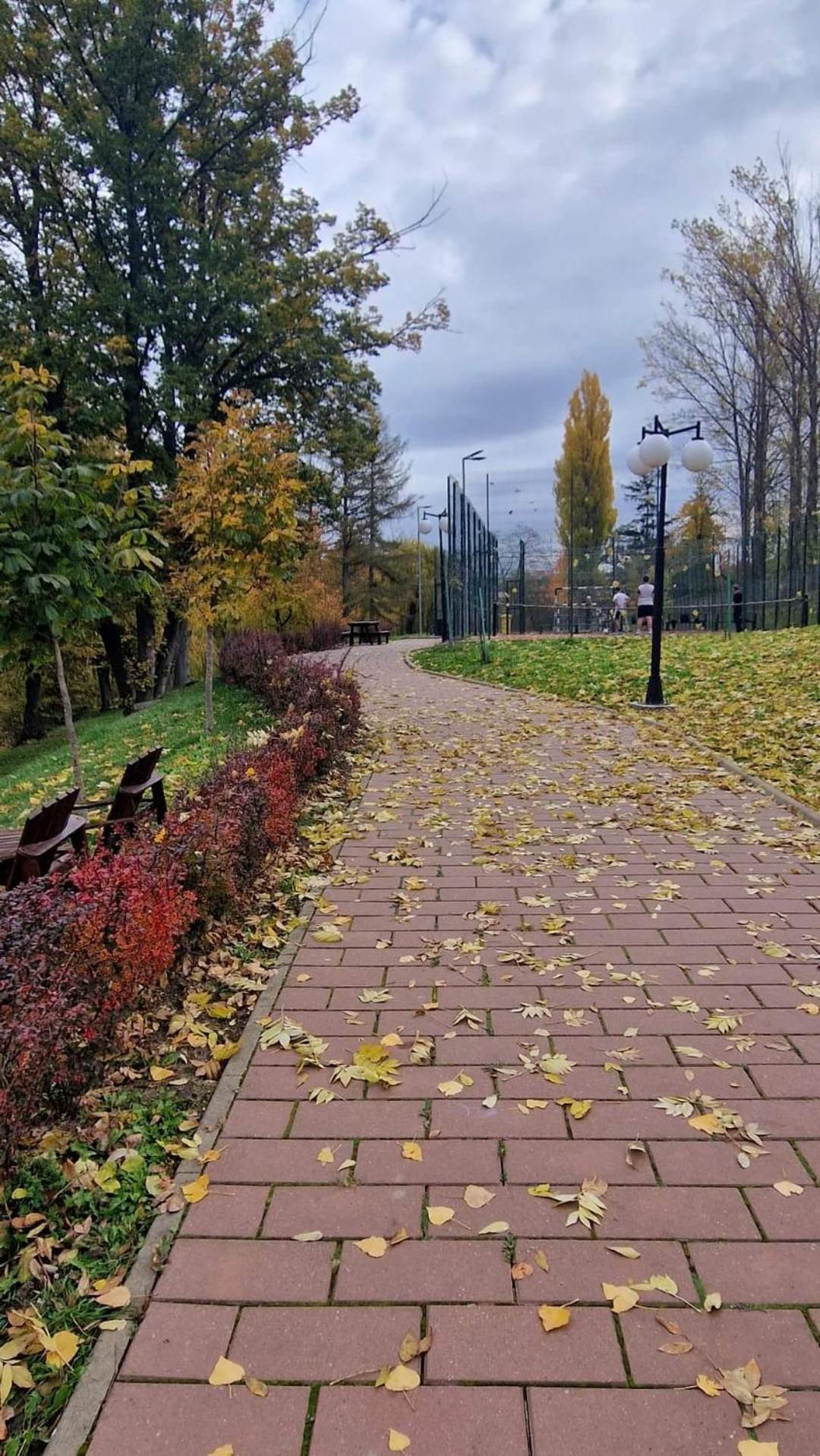 Cozy Apartment Narciselor Suceava Ipotesti  エクステリア 写真