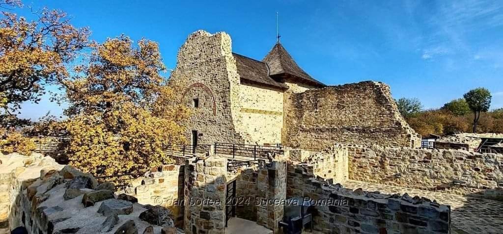 Cozy Apartment Narciselor Suceava Ipotesti  エクステリア 写真