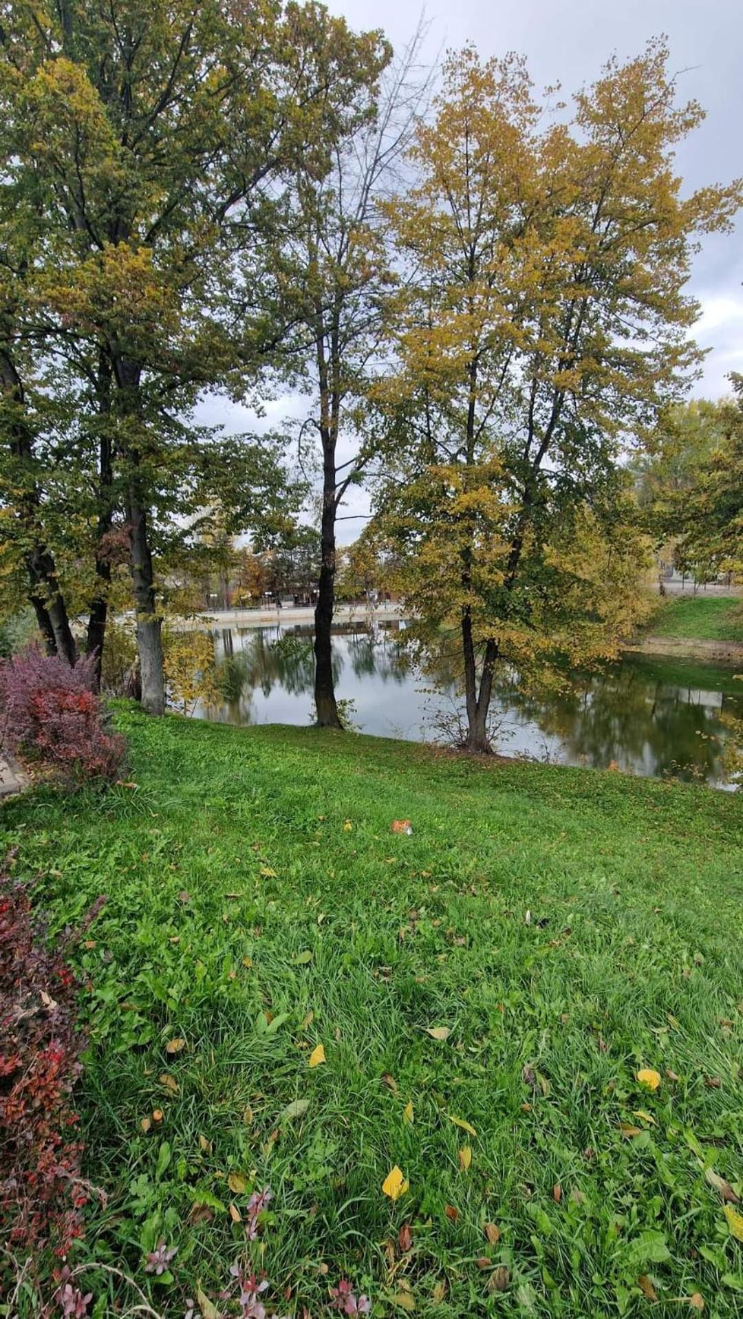 Cozy Apartment Narciselor Suceava Ipotesti  エクステリア 写真
